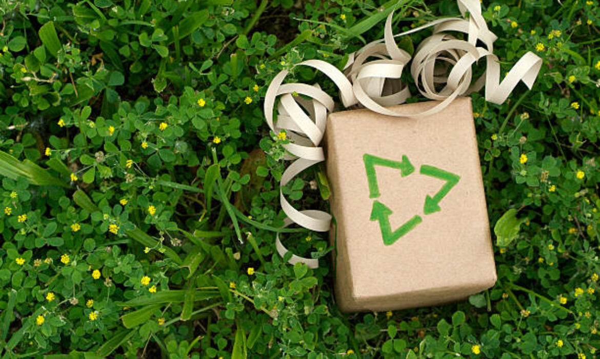 Guide des meilleurs cadeaux écologiques pour renforcer vos partenariats