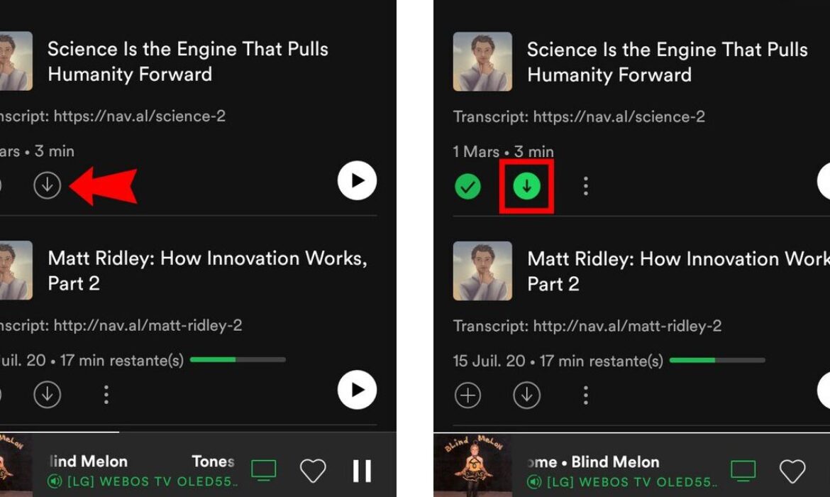 Comment télécharger des chansons sur Spotify pour les écouter hors ligne